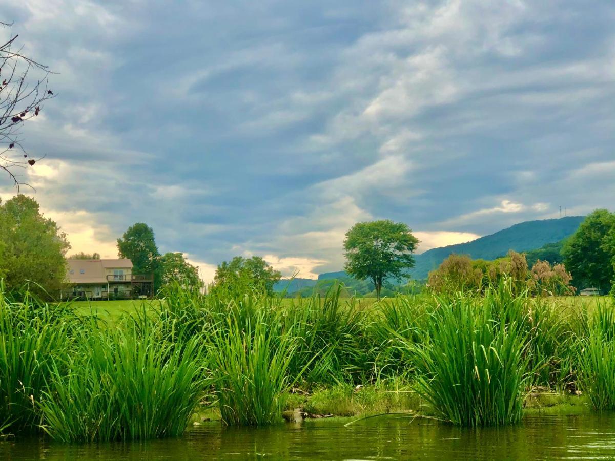 Little River Guest House At Tennessee Riverplace Chattanooga Exteriér fotografie