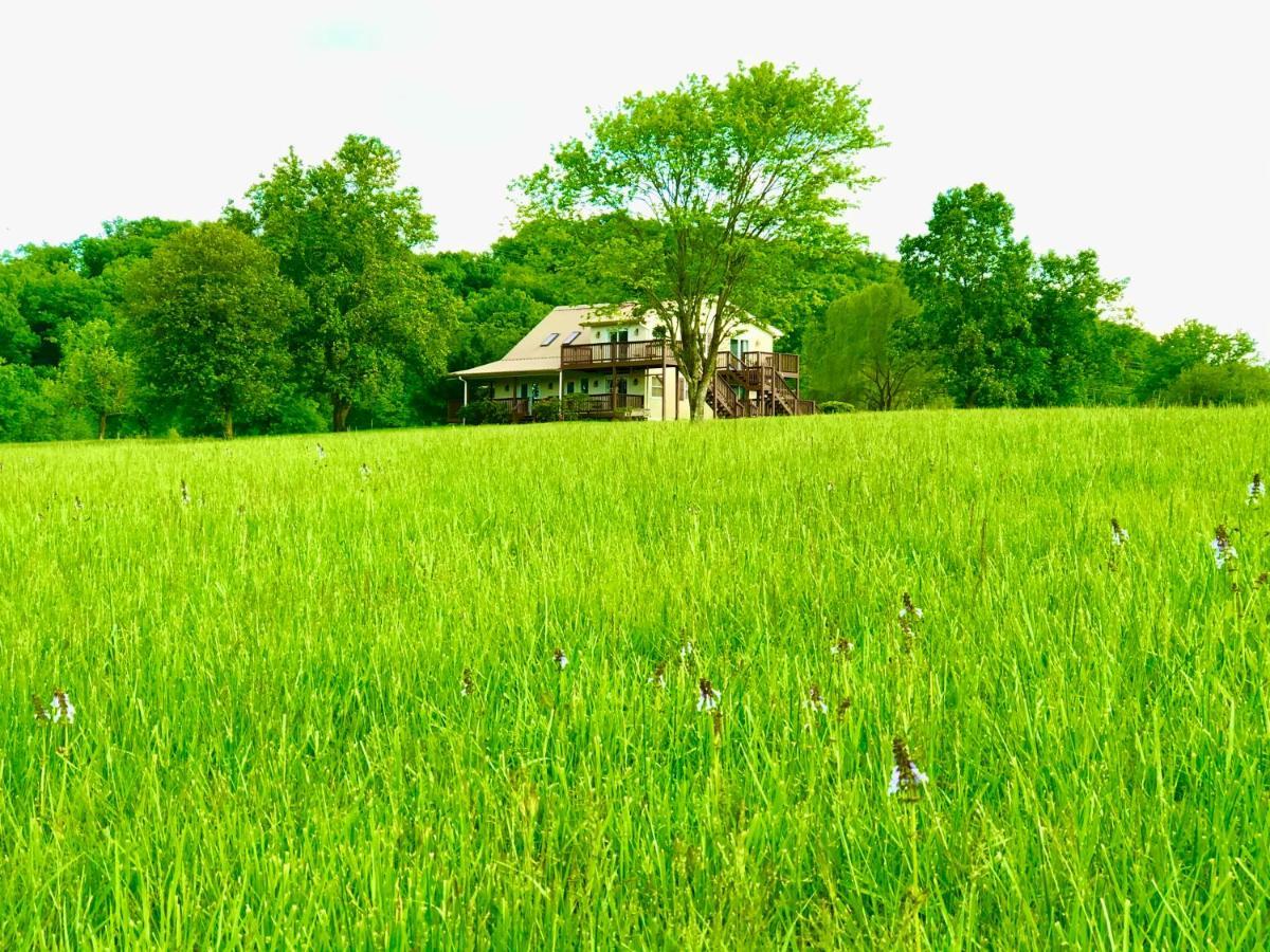 Little River Guest House At Tennessee Riverplace Chattanooga Exteriér fotografie