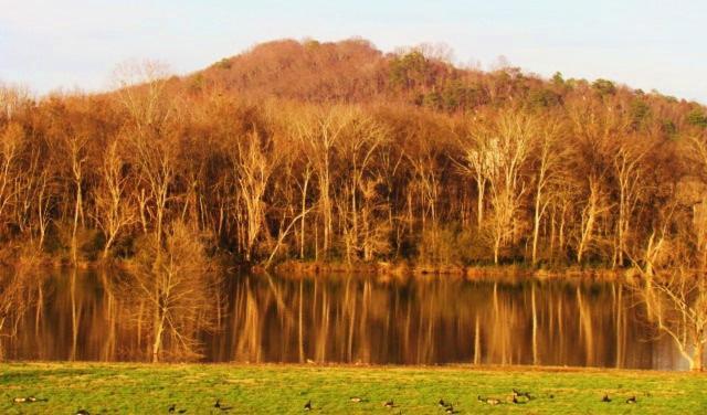 Little River Guest House At Tennessee Riverplace Chattanooga Exteriér fotografie